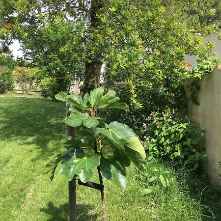 10mn De La A Pied, 9 Couchages, Ideal En Famille Holiday home *